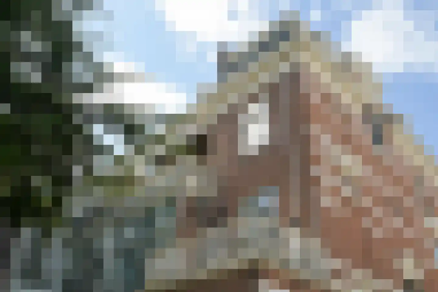Nassau Zuilensteinstraat 11 B Den Haag thumbnail 4