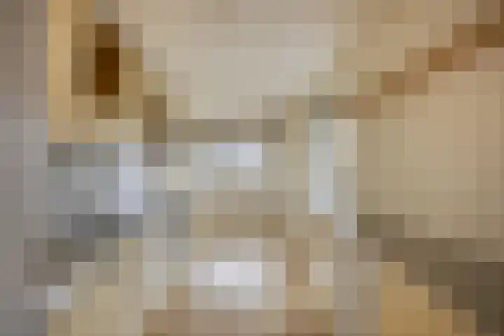 Nassauhaven 136 Rotterdam thumbnail 13