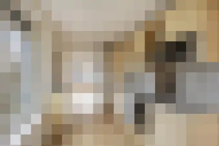 Nassauhaven 136 Rotterdam thumbnail 14
