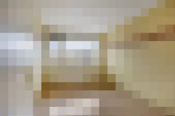 Nassauhaven 136 Rotterdam thumbnail 17