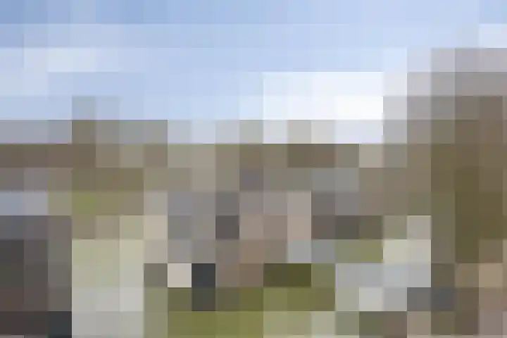 Nassauhaven 136 Rotterdam thumbnail 30