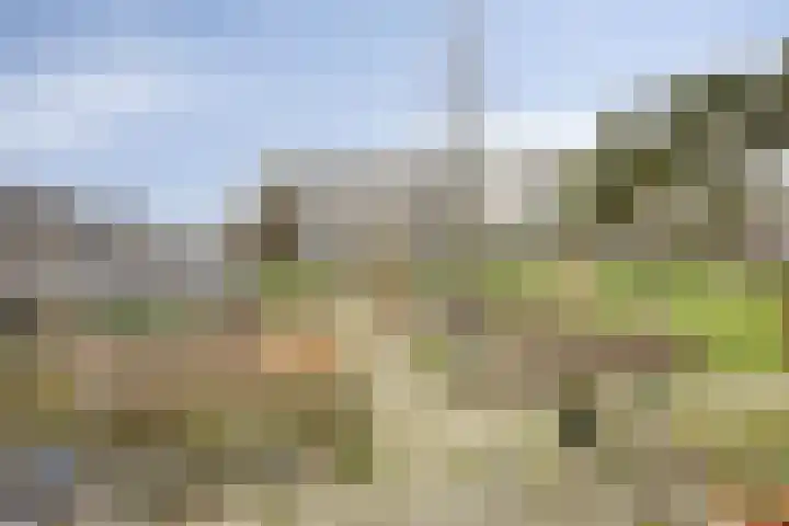 Nassauhaven 136 Rotterdam thumbnail 35