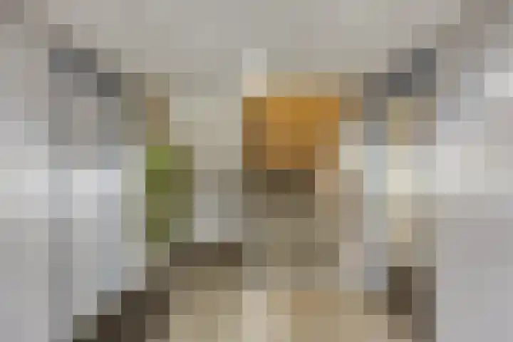 Nassauhaven 136 Rotterdam thumbnail 6
