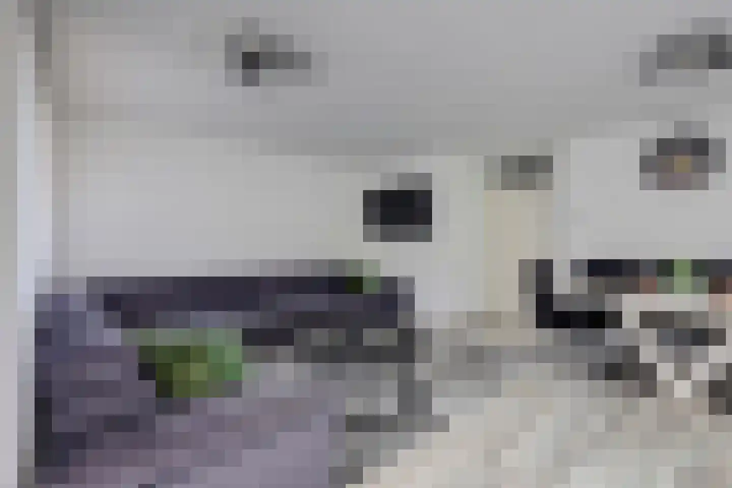 Nassauhaven 298 Rotterdam thumbnail 10
