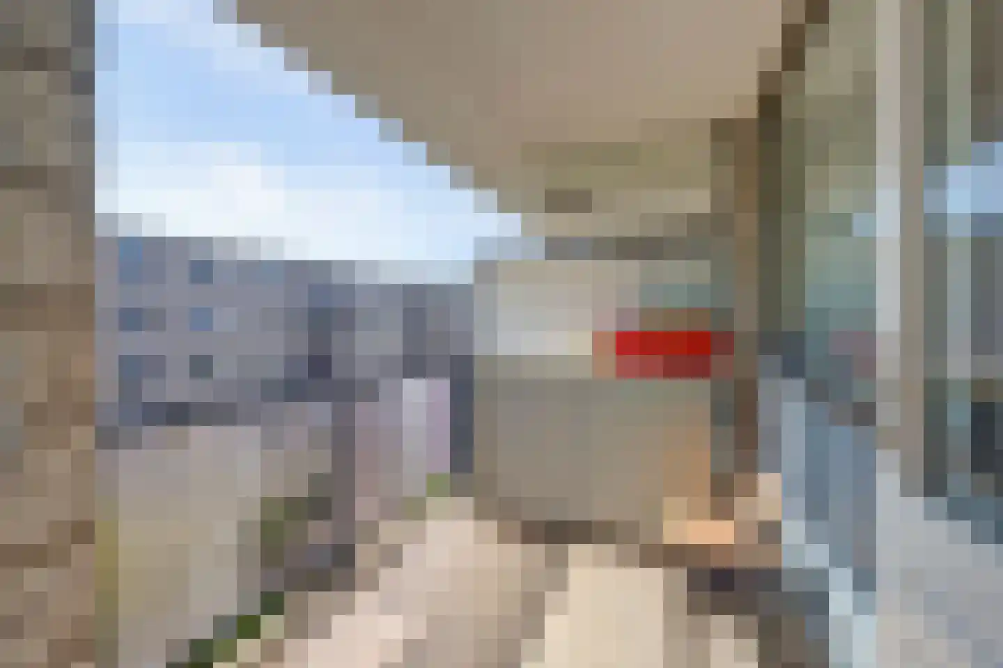 Nassauhaven 298 Rotterdam thumbnail 22