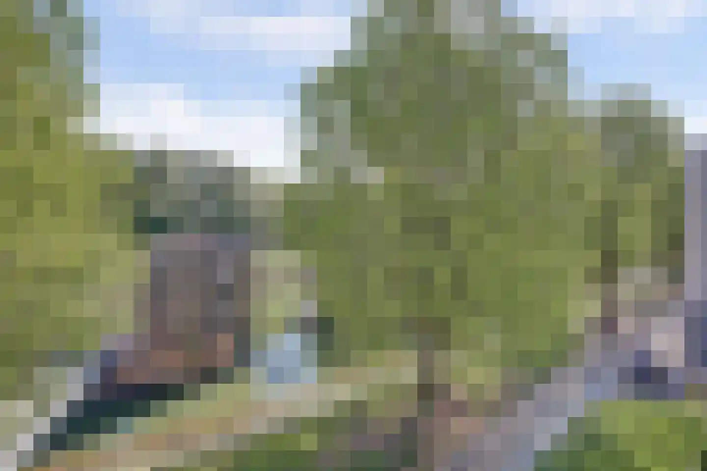 Nassauhaven 298 Rotterdam thumbnail 4