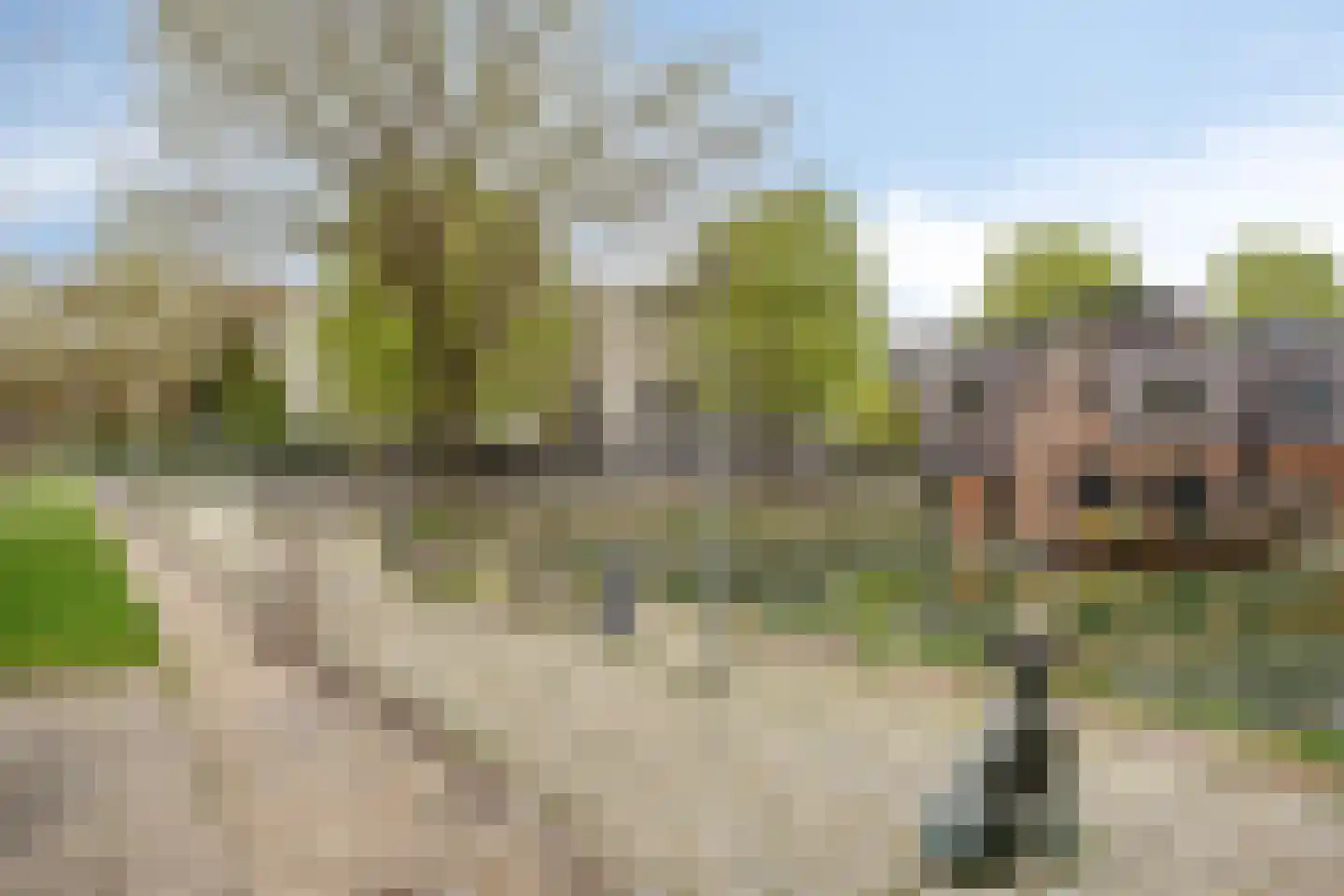 Nassauhaven 314 Rotterdam thumbnail 25