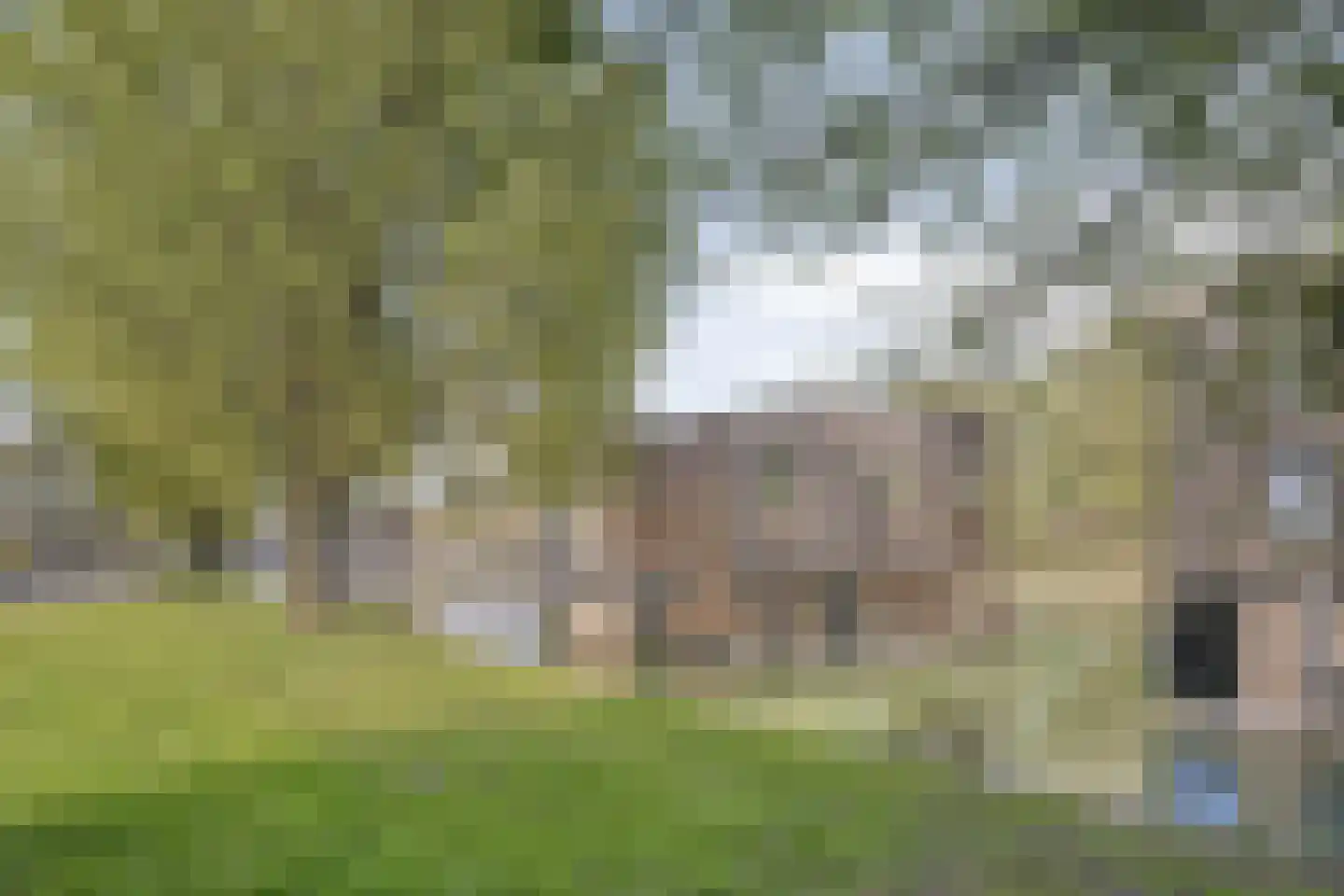 Nassauhaven 332 Rotterdam thumbnail 24