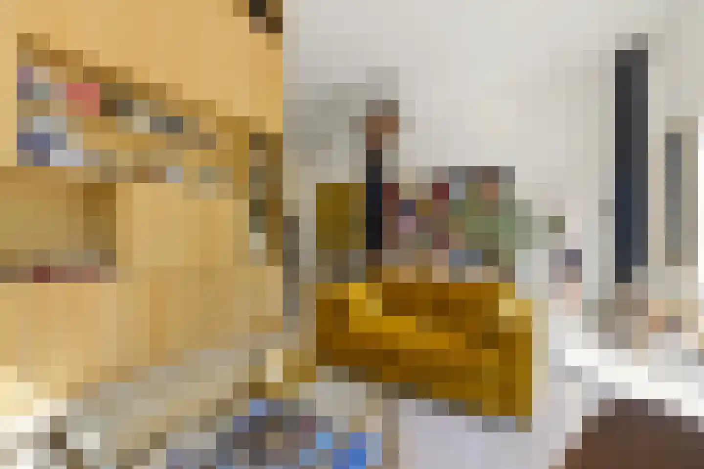 Nassauhavenpad 30 Rotterdam thumbnail 17
