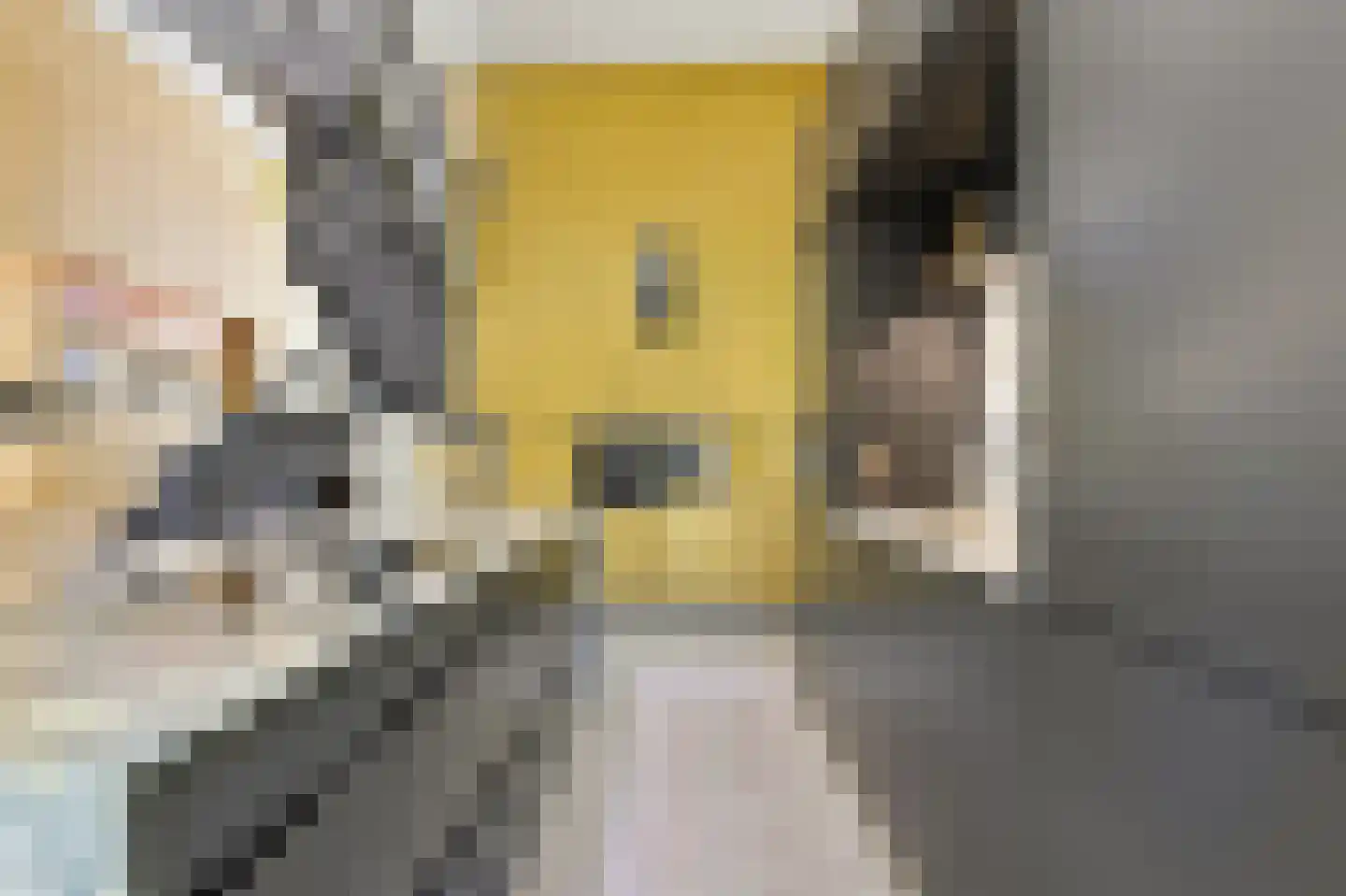 Nassauhavenpad 30 Rotterdam thumbnail 23