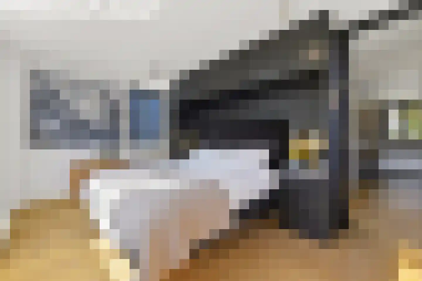 Nassauhavenpad 30 Rotterdam thumbnail 27