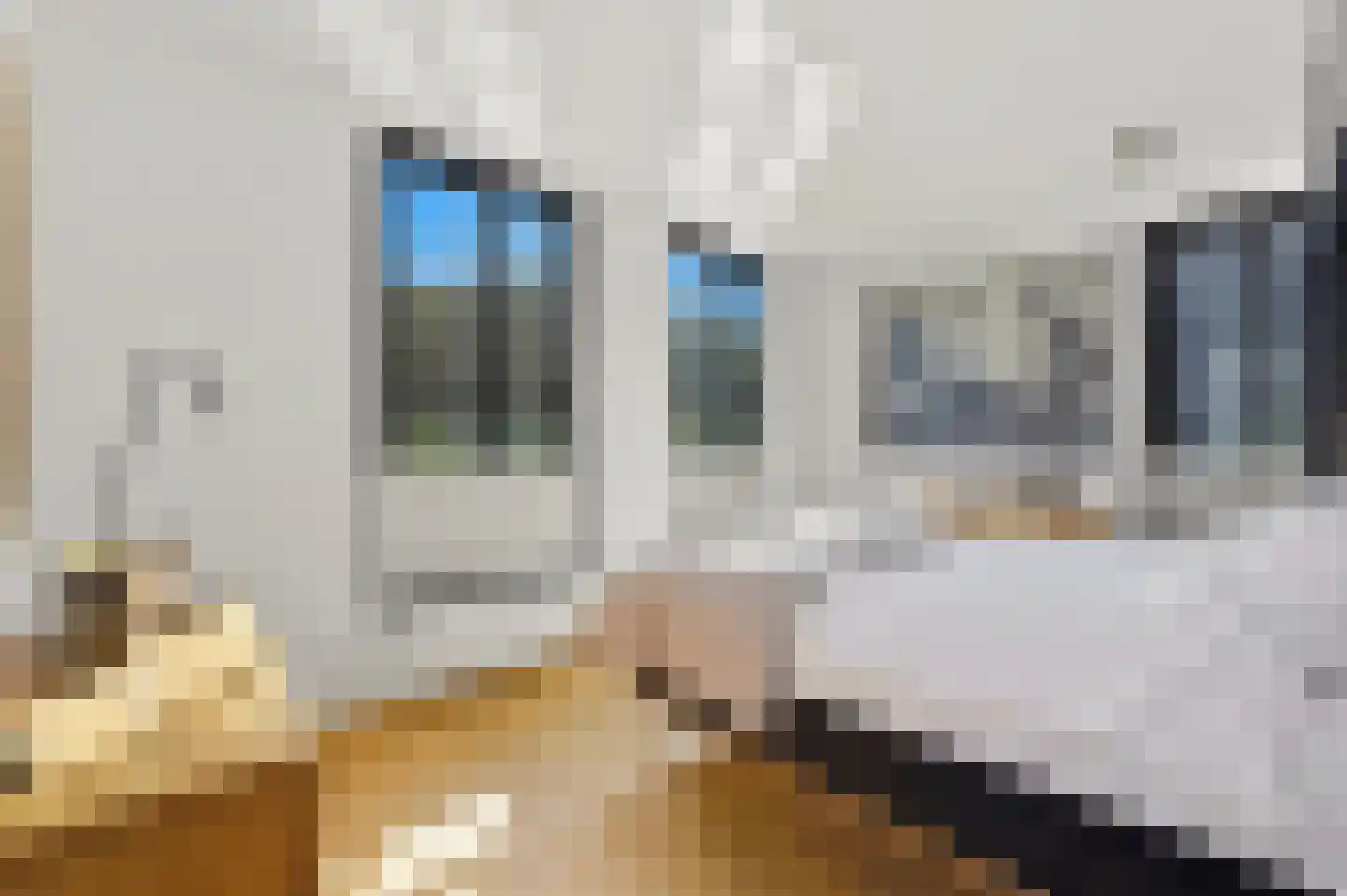Nassauhavenpad 30 Rotterdam thumbnail 28