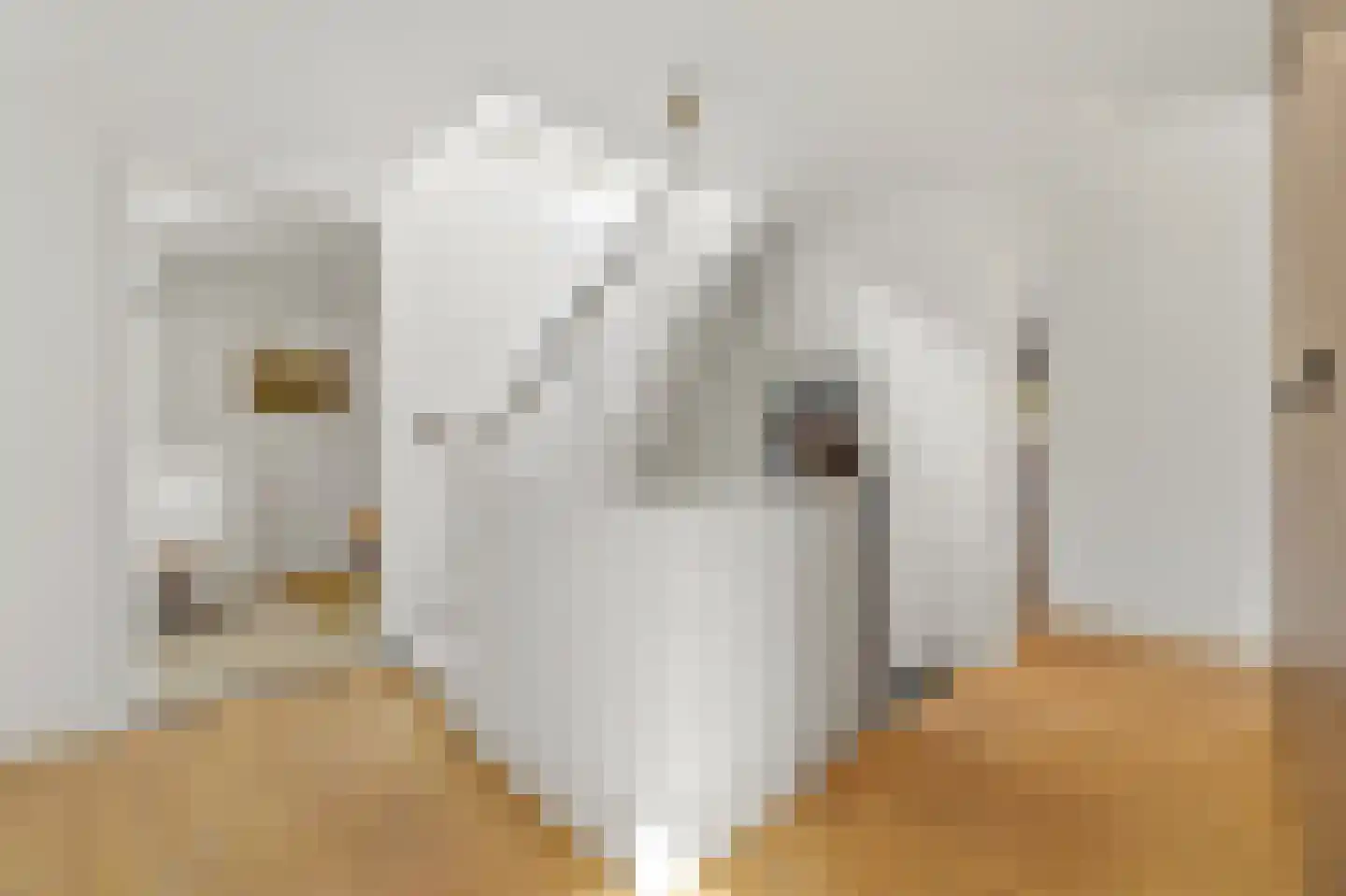 Nassauhavenpad 30 Rotterdam thumbnail 35