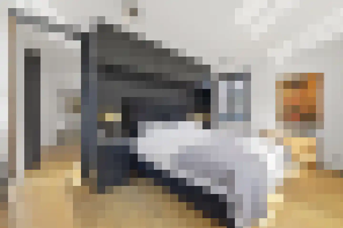Nassauhavenpad 30 Rotterdam thumbnail 5