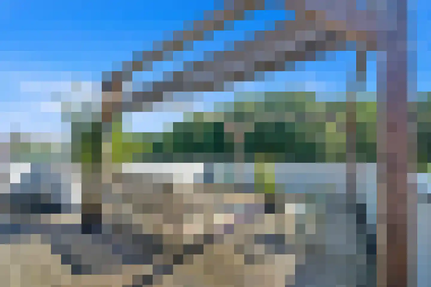 Nassauhavenpad 30 Rotterdam thumbnail 8