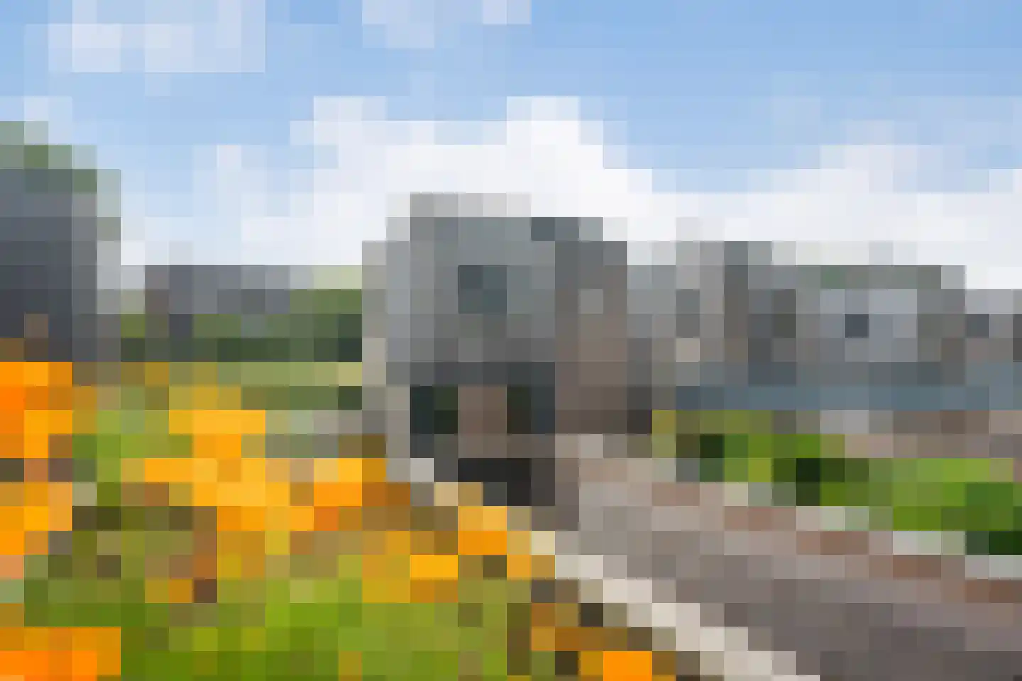 Nassauhavenpad 8 Rotterdam thumbnail 16