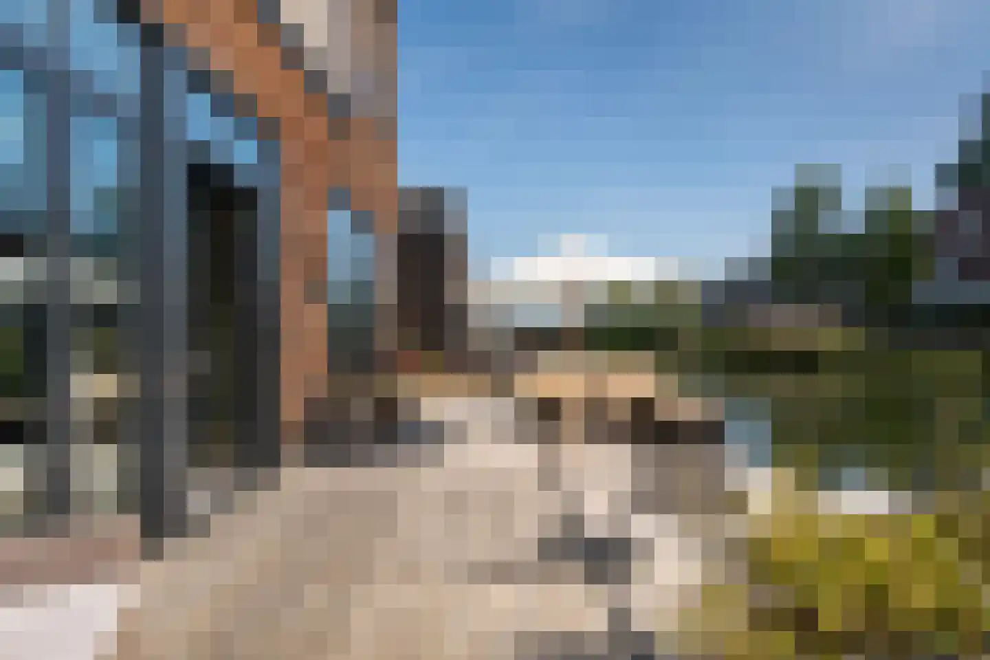 Nassauhavenpad 8 Rotterdam thumbnail 24