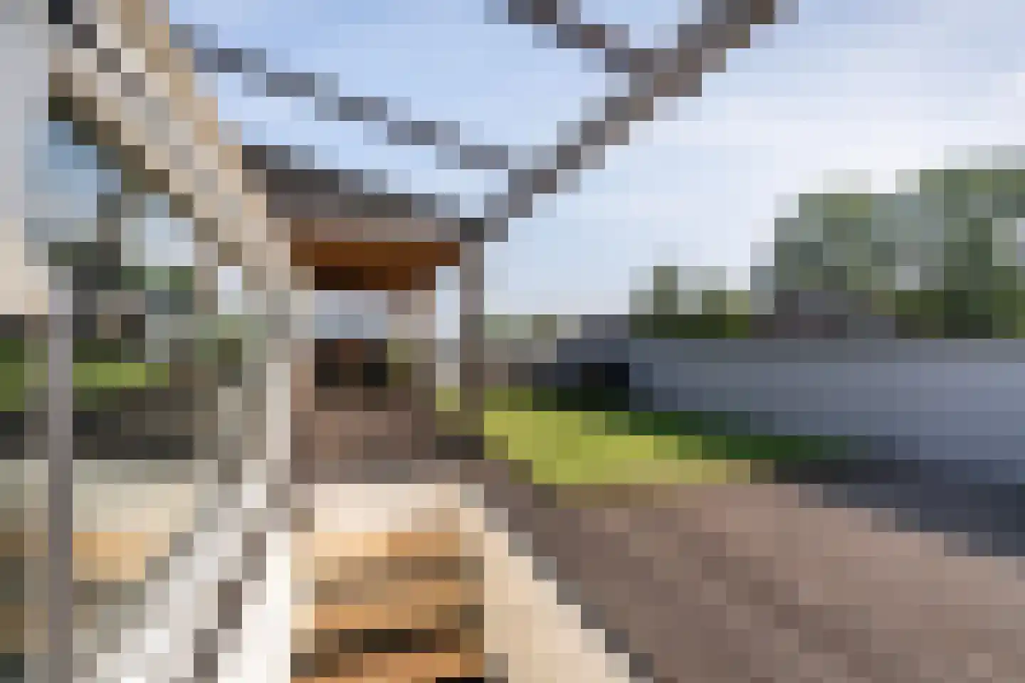 Nassauhavenpad 8 Rotterdam thumbnail 39