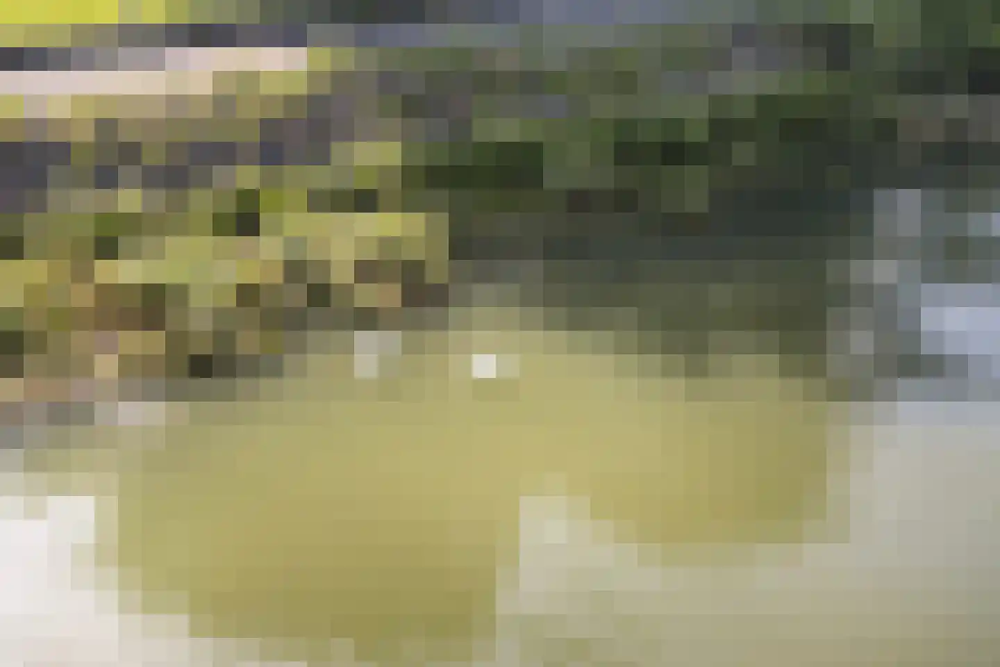Nassauhavenpad 8 Rotterdam thumbnail 46