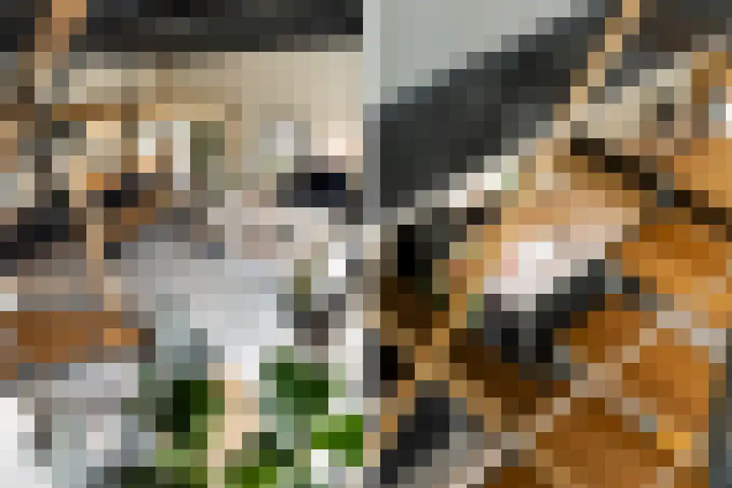 Nassauhavenpad 8 Rotterdam thumbnail 7