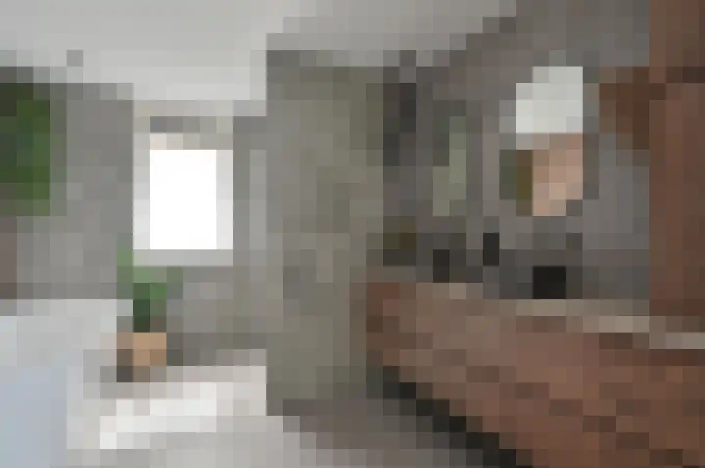 Nassauhof 1 Maartensdijk thumbnail 24