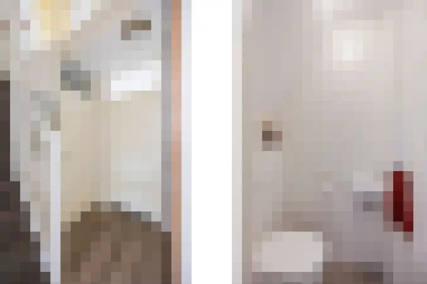 Nassauhof 16 Echt thumbnail 8