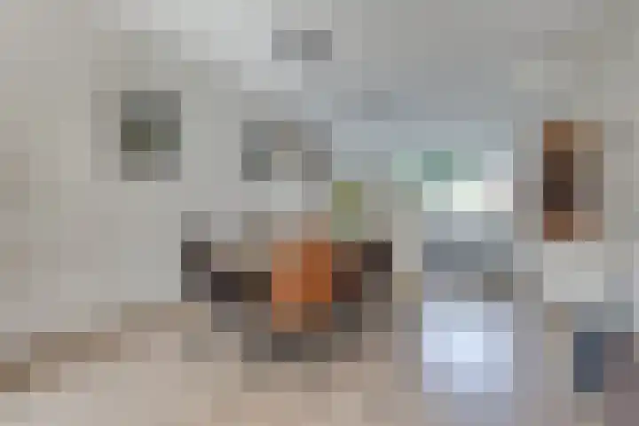 Nassauhof 3 Terborg thumbnail 12