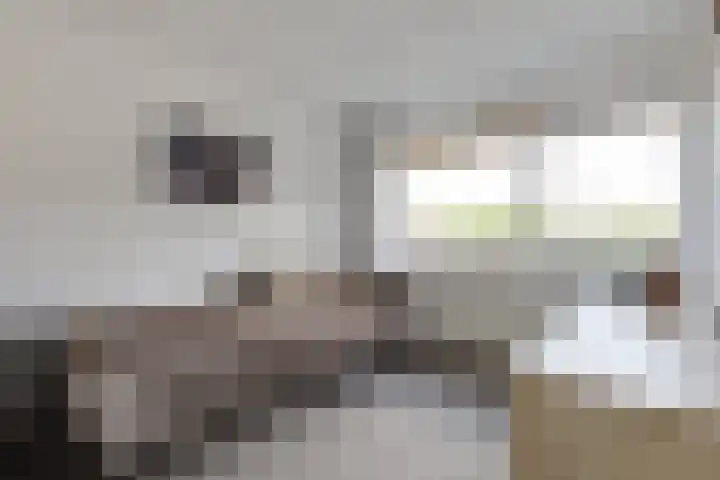 Nassauhof 3 Terborg thumbnail 31