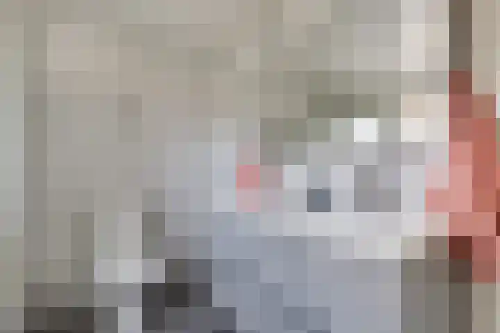 Nassauhof 3 Terborg thumbnail 34