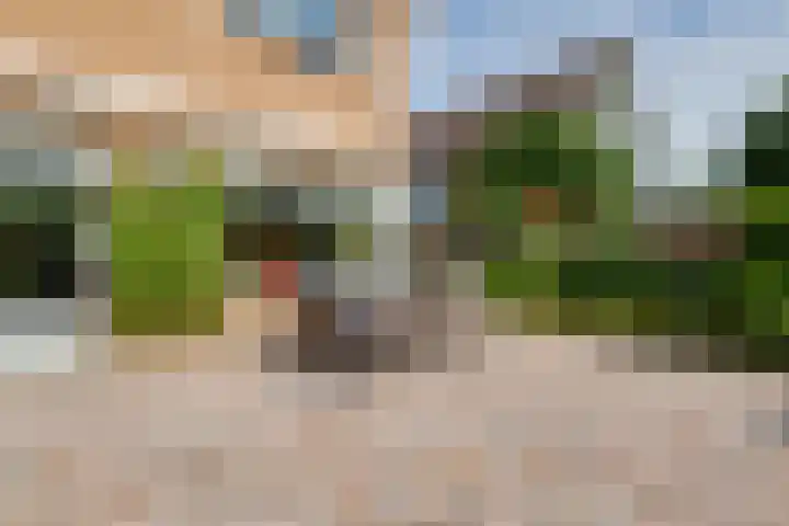 Nassauhof 3 Terborg thumbnail 46