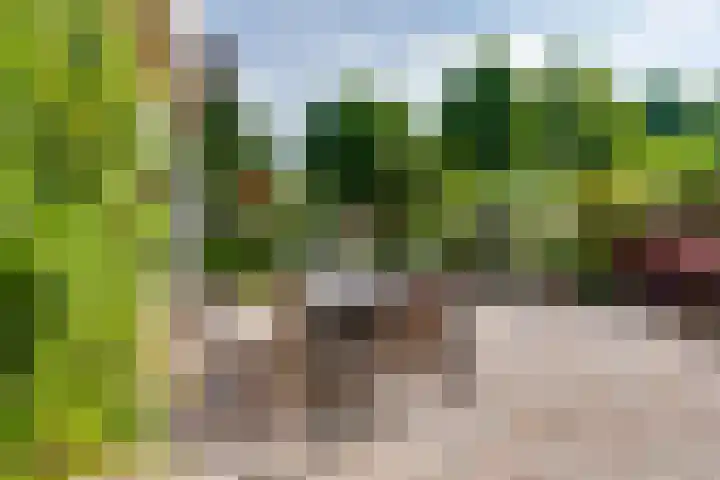 Nassauhof 3 Terborg thumbnail 47