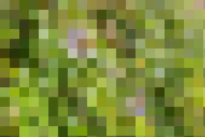 Nassauhof 3 Terborg thumbnail 48