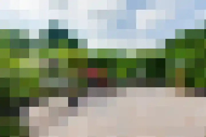Nassauhof 3 Terborg thumbnail 51