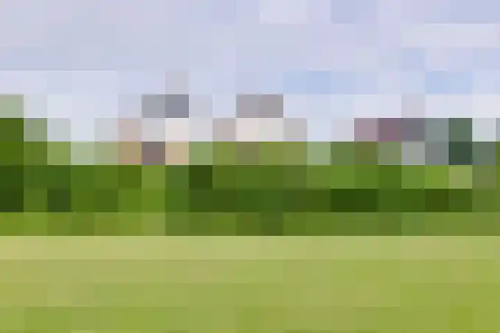 Nassauhof 3 Terborg thumbnail 61