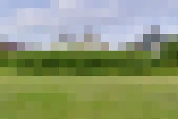 Nassauhof 3 Terborg thumbnail 63