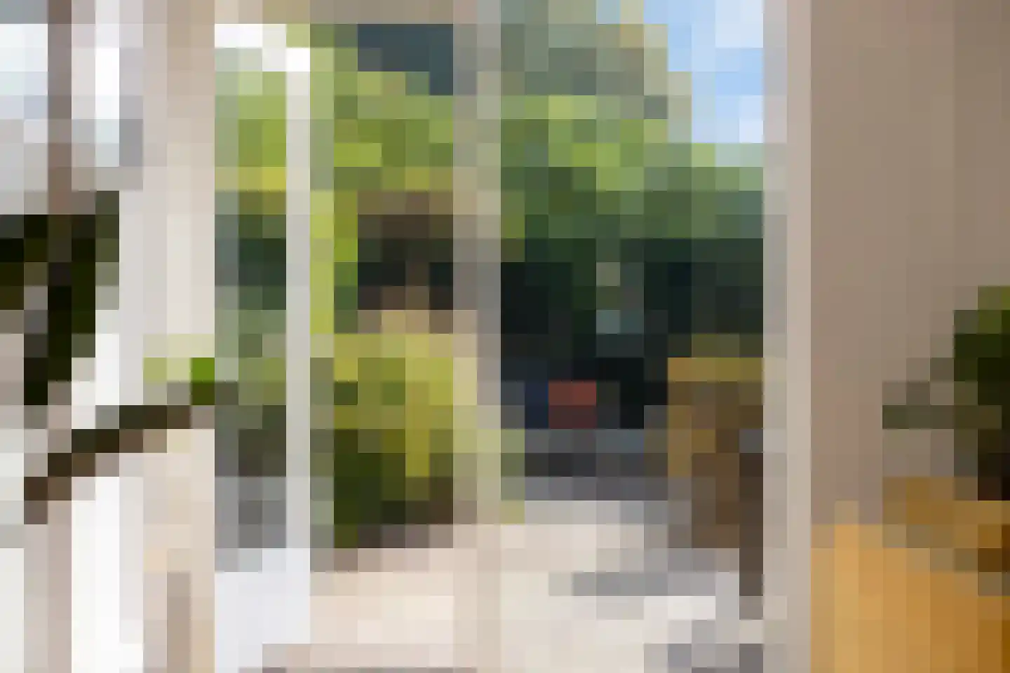 Nassauhof 5 Terborg thumbnail 22