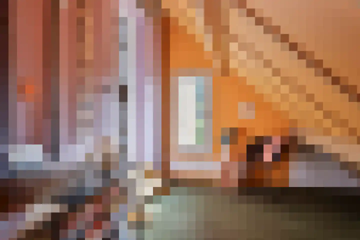 Nassauhof 5 Terborg thumbnail 31
