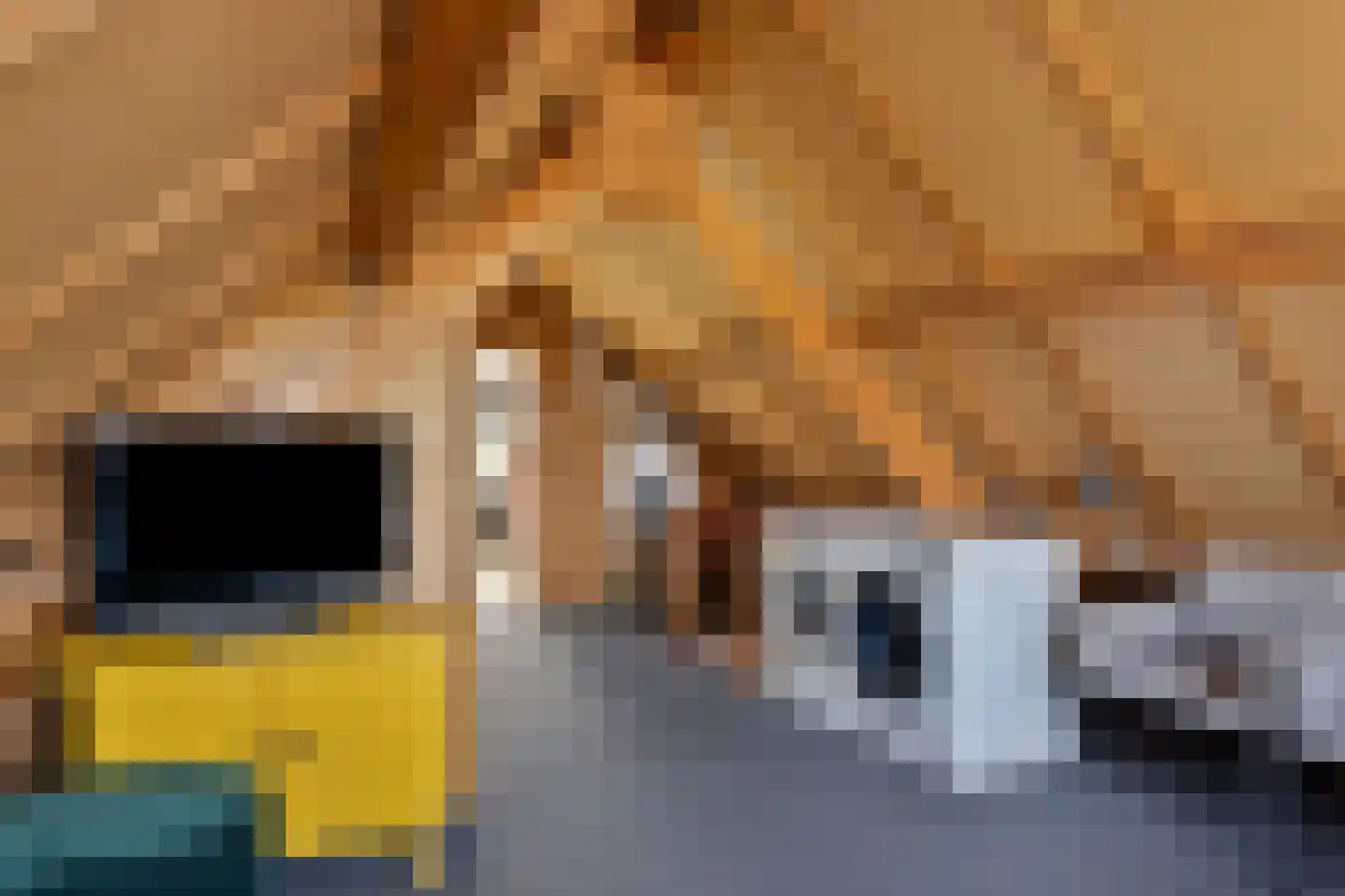 Nassauhof 5 Terborg thumbnail 35