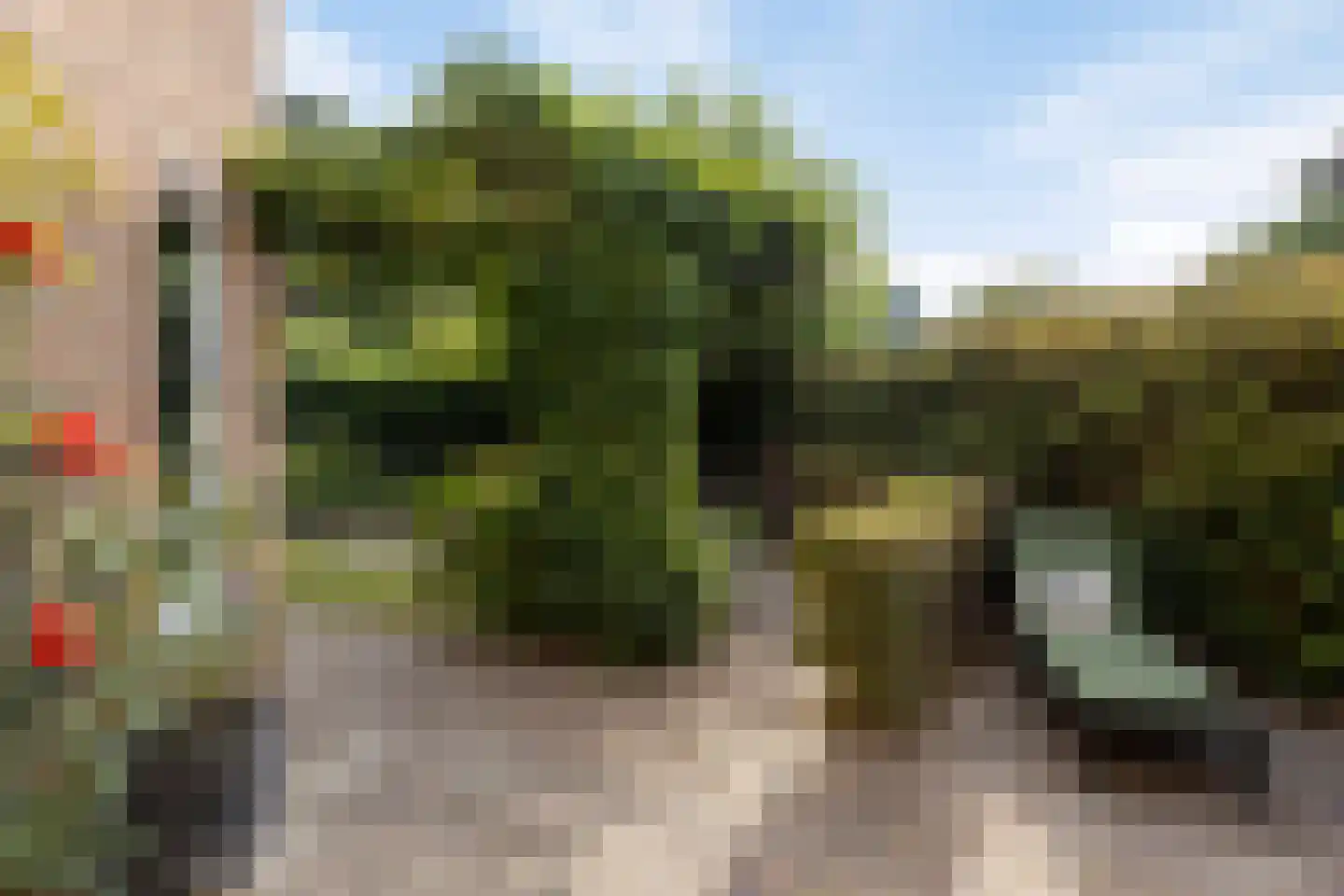 Nassauhof 5 Terborg thumbnail 37