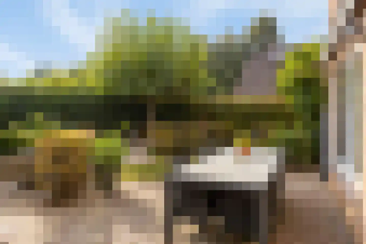 Nassauhof 5 Terborg thumbnail 40
