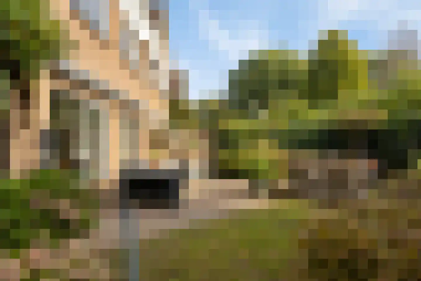 Nassauhof 5 Terborg thumbnail 41