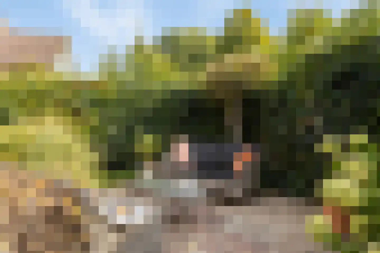 Nassauhof 5 Terborg thumbnail 42