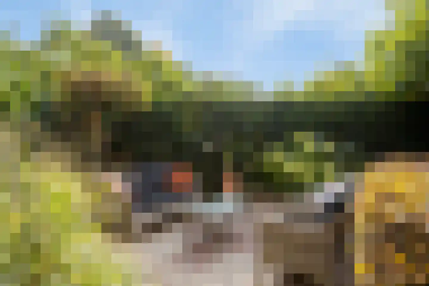 Nassauhof 5 Terborg thumbnail 43