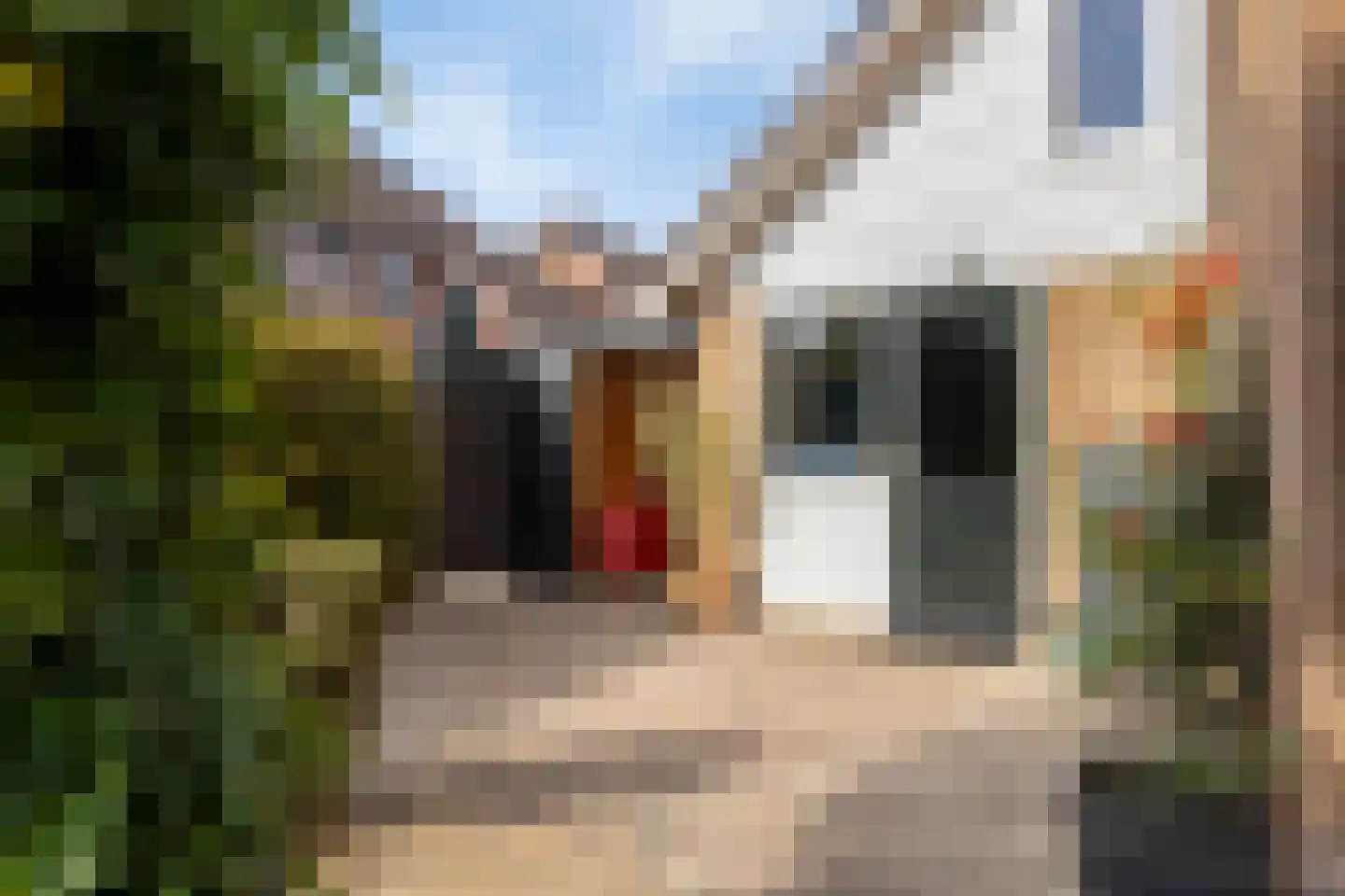 Nassauhof 5 Terborg thumbnail 48