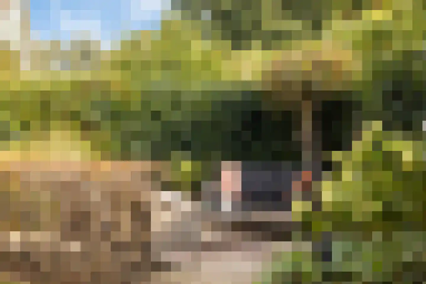 Nassauhof 5 Terborg thumbnail 50