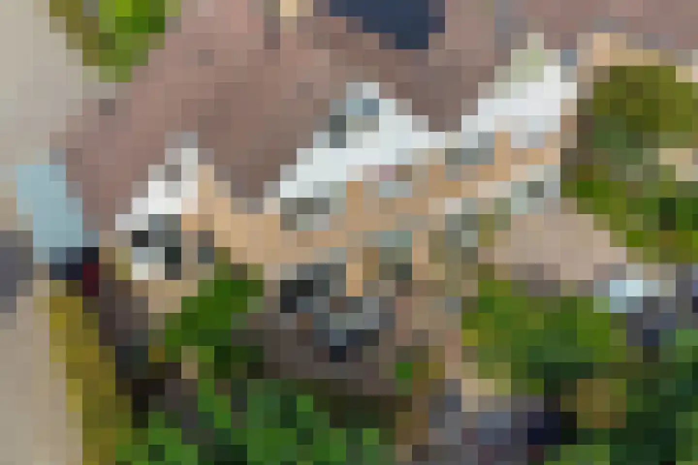 Nassauhof 5 Terborg thumbnail 53