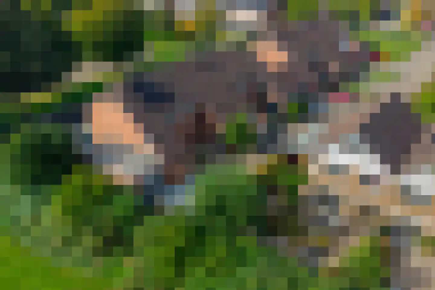 Nassauhof 5 Terborg thumbnail 54