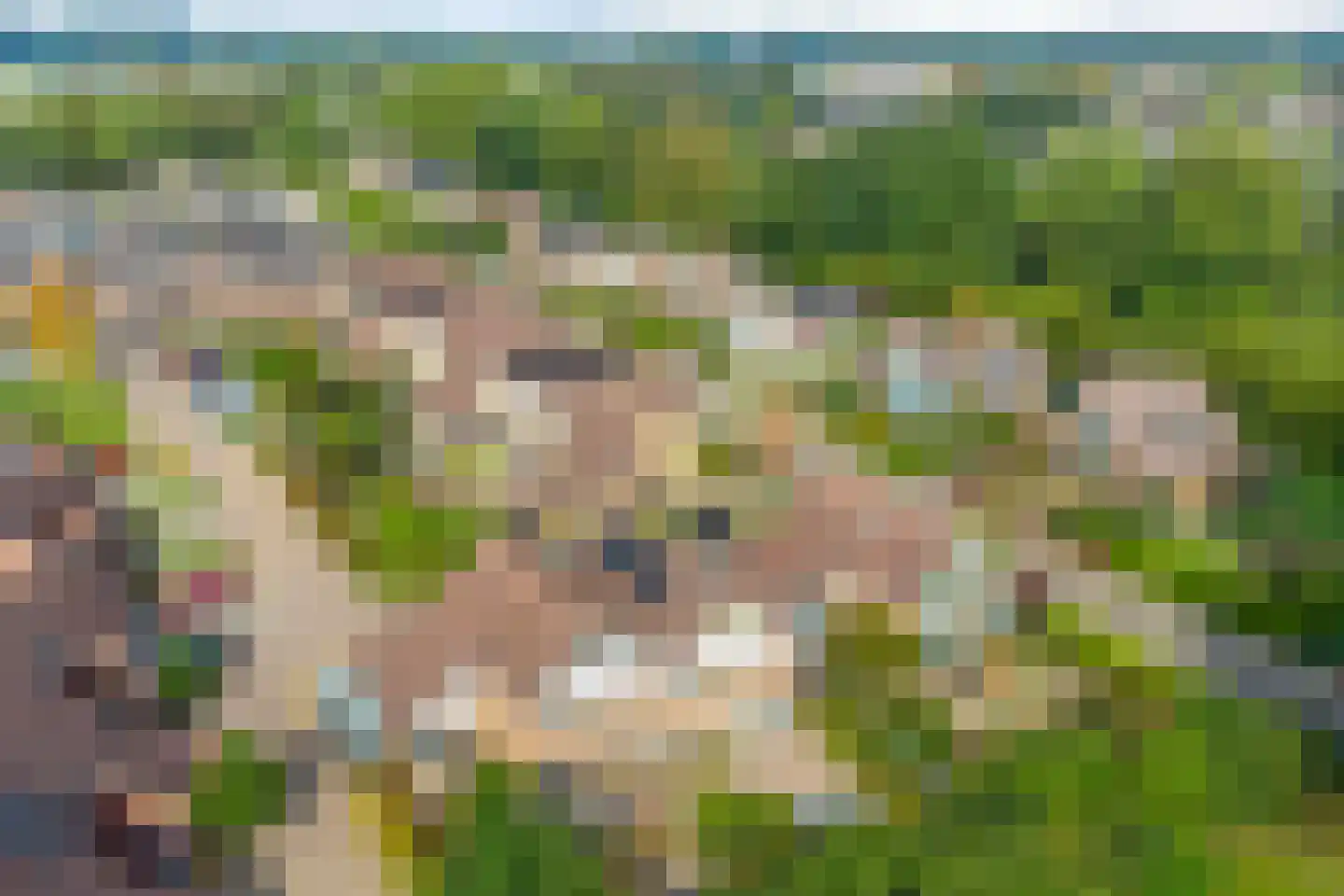 Nassauhof 5 Terborg thumbnail 59