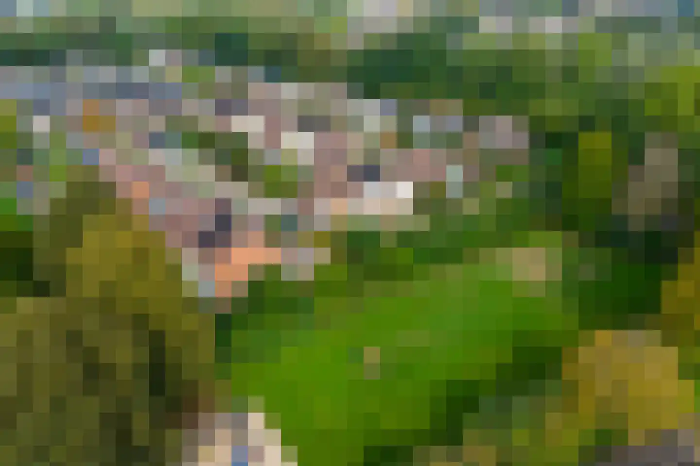 Nassauhof 5 Terborg thumbnail 60