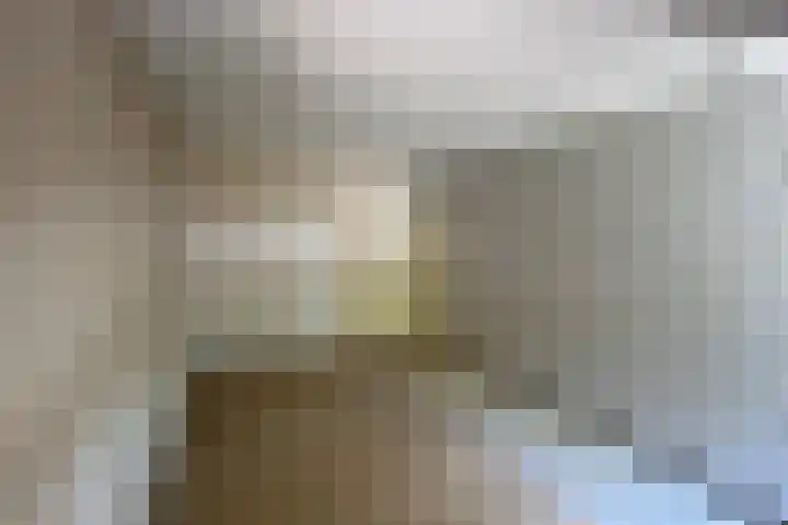 Nassauhof 73 Terborg thumbnail 12